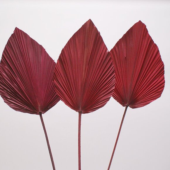 ANAHAW LEAF MED - Picture 9 of 9